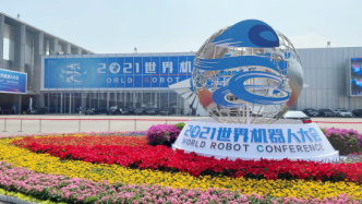 未来已来，北京世界机器人大会最大收获：国产机器人走向国际
