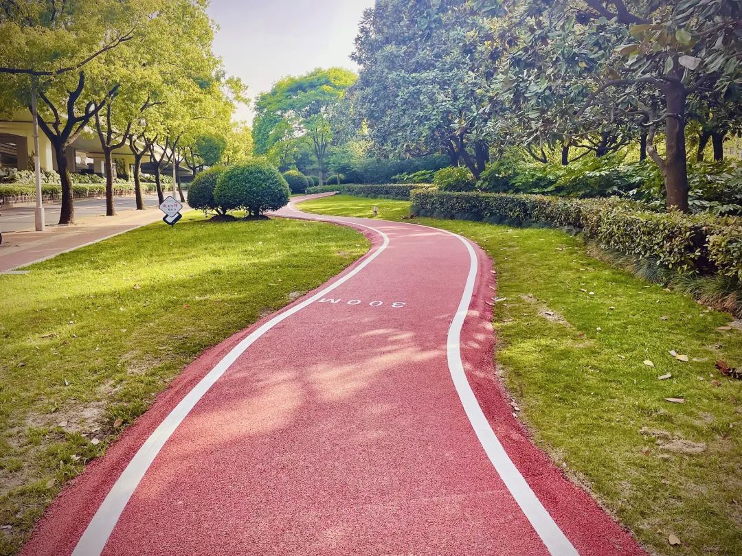 发现2021徐汇最美步道揭晓啦快看看你家附近有没有