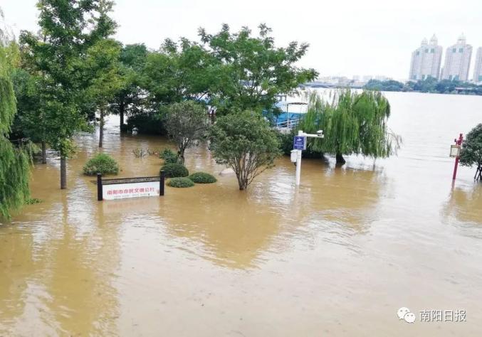 致敬泄洪时刻白河沿线的安全密码