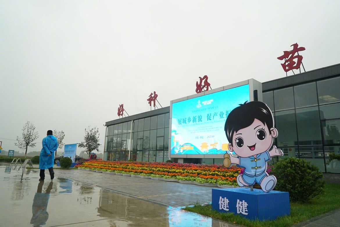 徜徉花海迷宫吃药膳喝药饮安国中药都药博园成保定网红打卡地