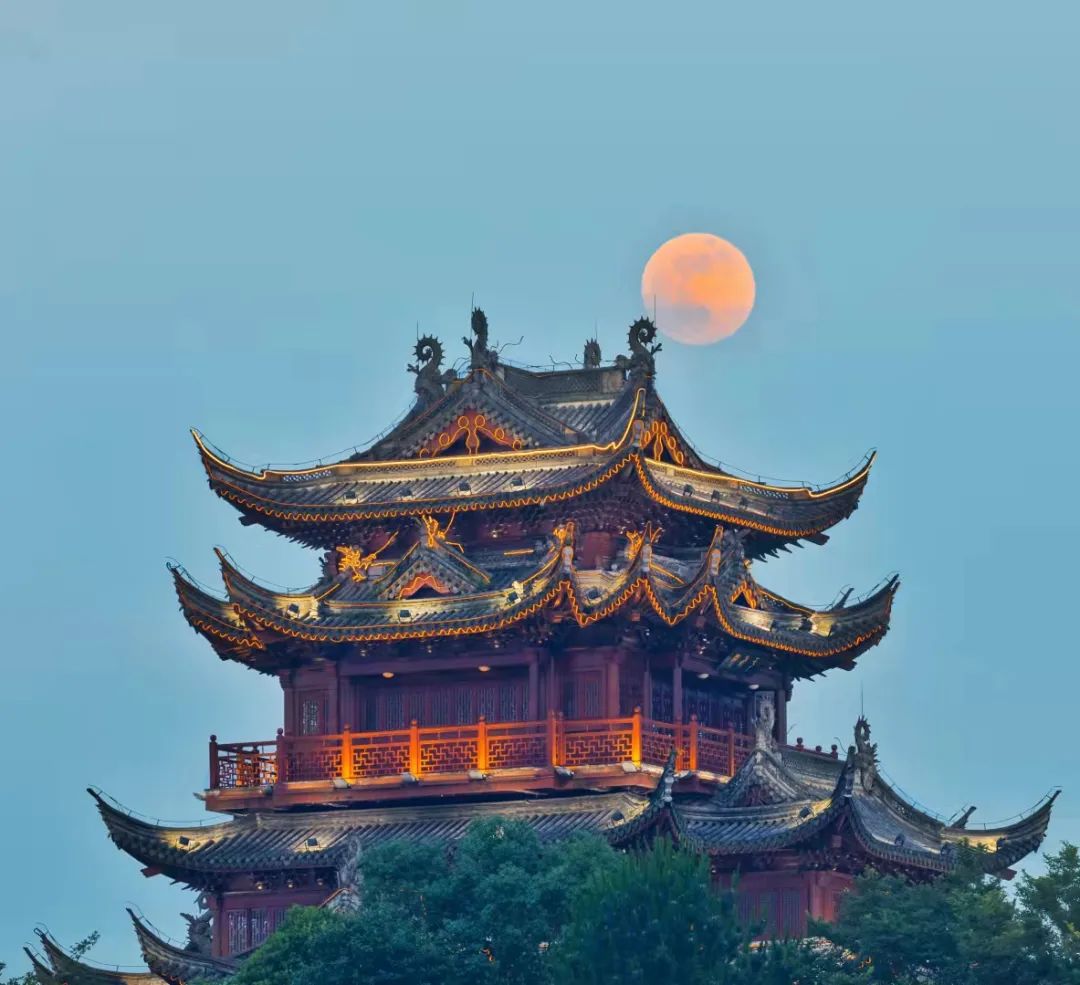 周振波 磁耦合谐振式无线电能传输技术在电力系统中的应用