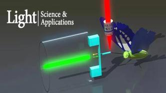 光纤微力传感器：纳牛顿力测量与生物检测