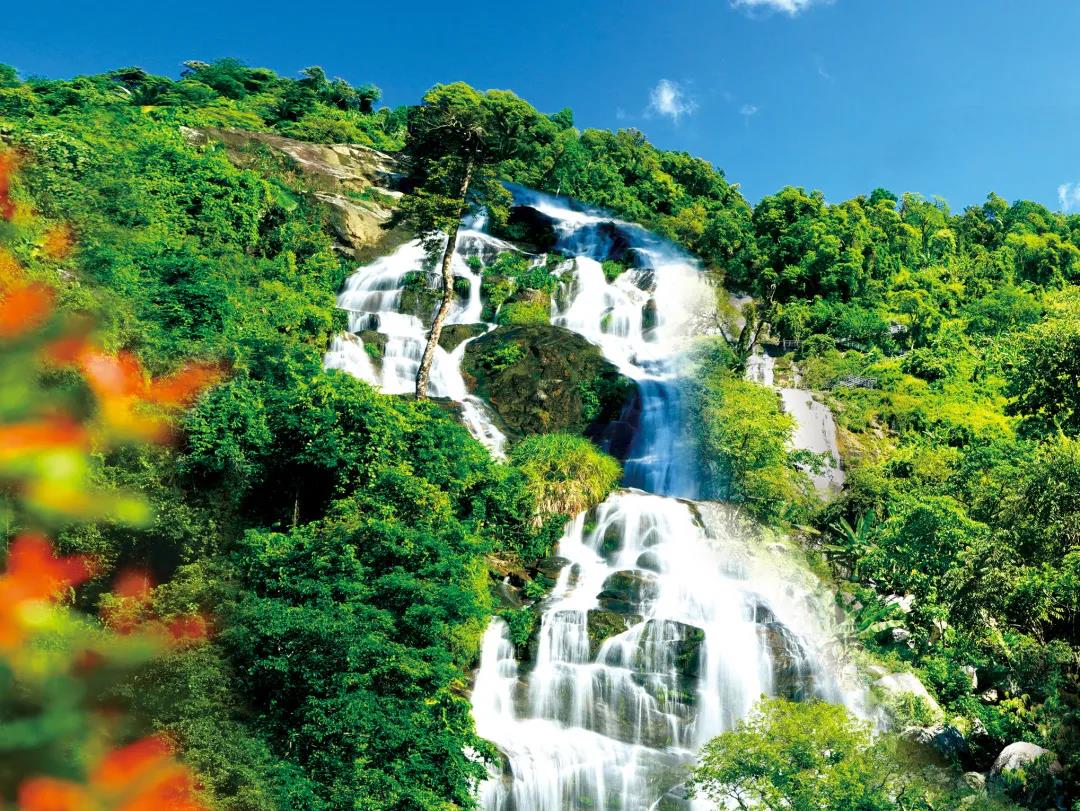 国庆黄金周奇妙游来海南百花岭探秘仙山福地雨林奇观