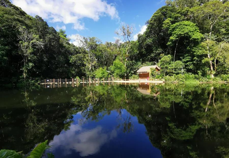 海南百花岭百花天池图片