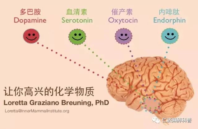 多巴胺,血清素)和能够让人承受压力和充满斗志的物质(去甲肾上腺素)在