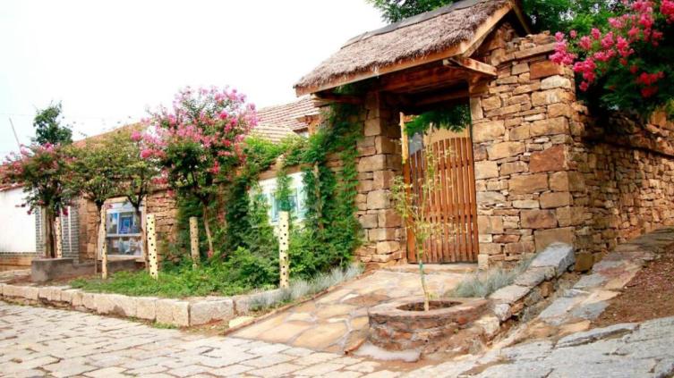 家庭家教家风美在农家百日攻坚沂水县龙家圈街道庭院美如画幸福新起点