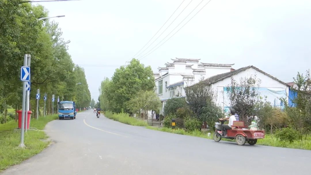 新街社区紧紧抓住周桥村美丽乡村建设成果,积极申报产业类项目,目前