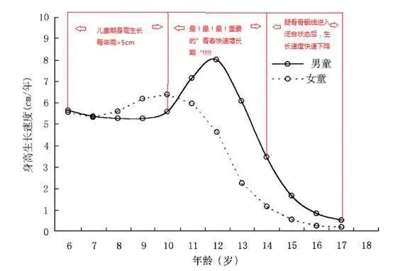 女孩生长高峰期图片