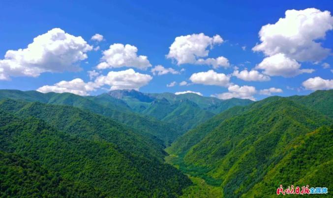 太子山国家森林公园图片