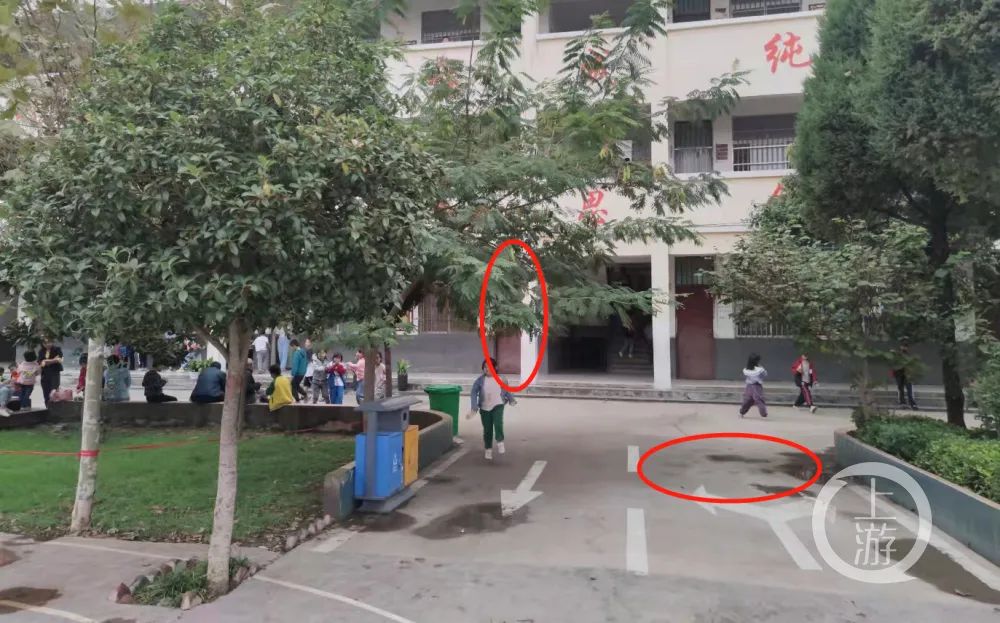 王海峰当时站在花栏边(右圈)打电话,被彭建峰推进宿舍内。/上游新闻记者 沈度
