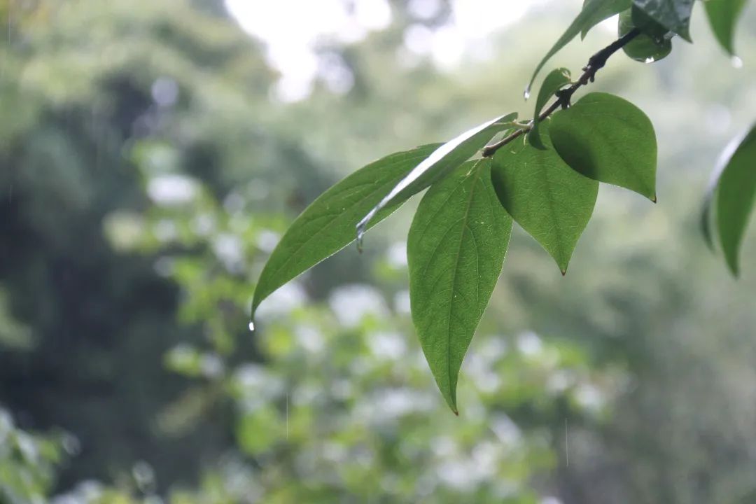 雨04雨04雨04雨04雨04停了