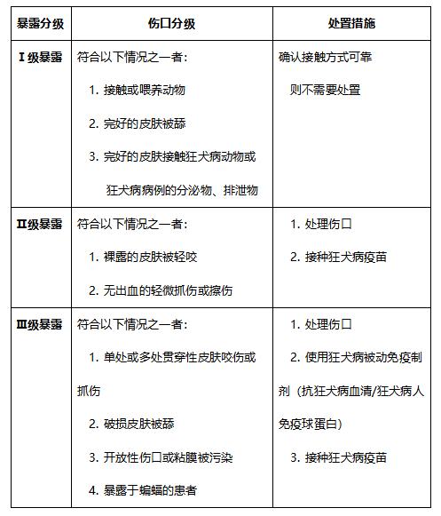 世界狂犬病日接種疫苗消除狂犬病