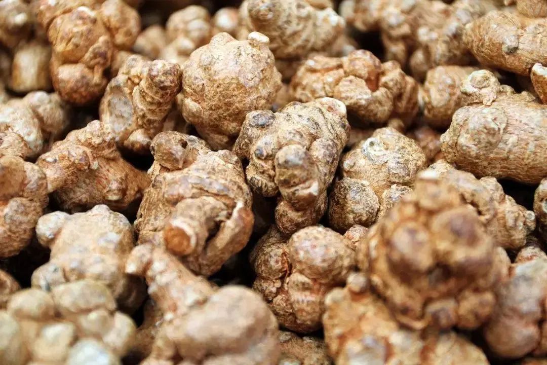 三七是保健品吗