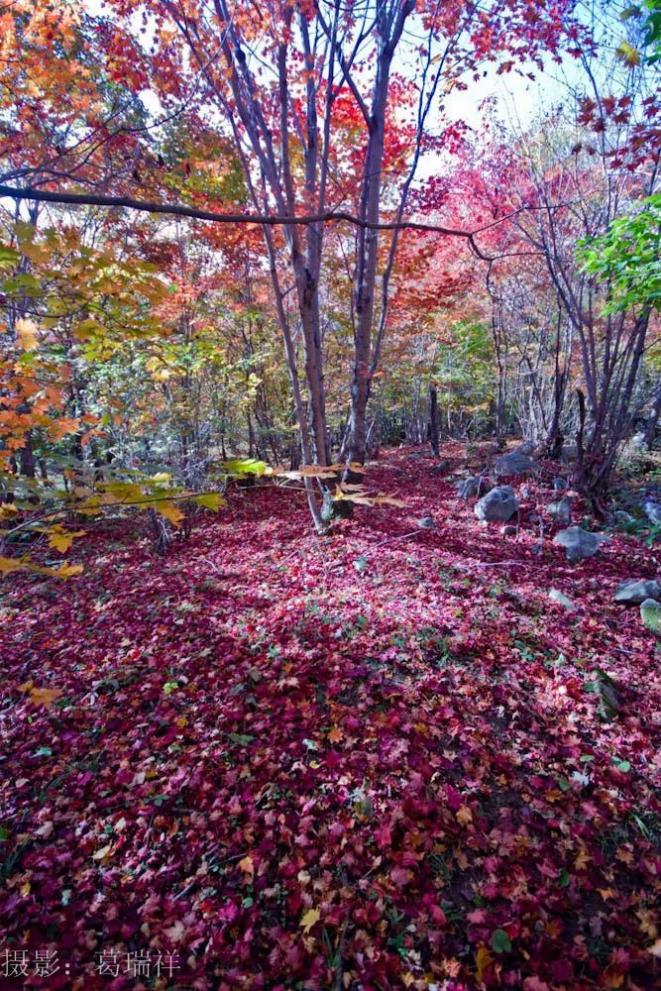 白山四方山风景区图片