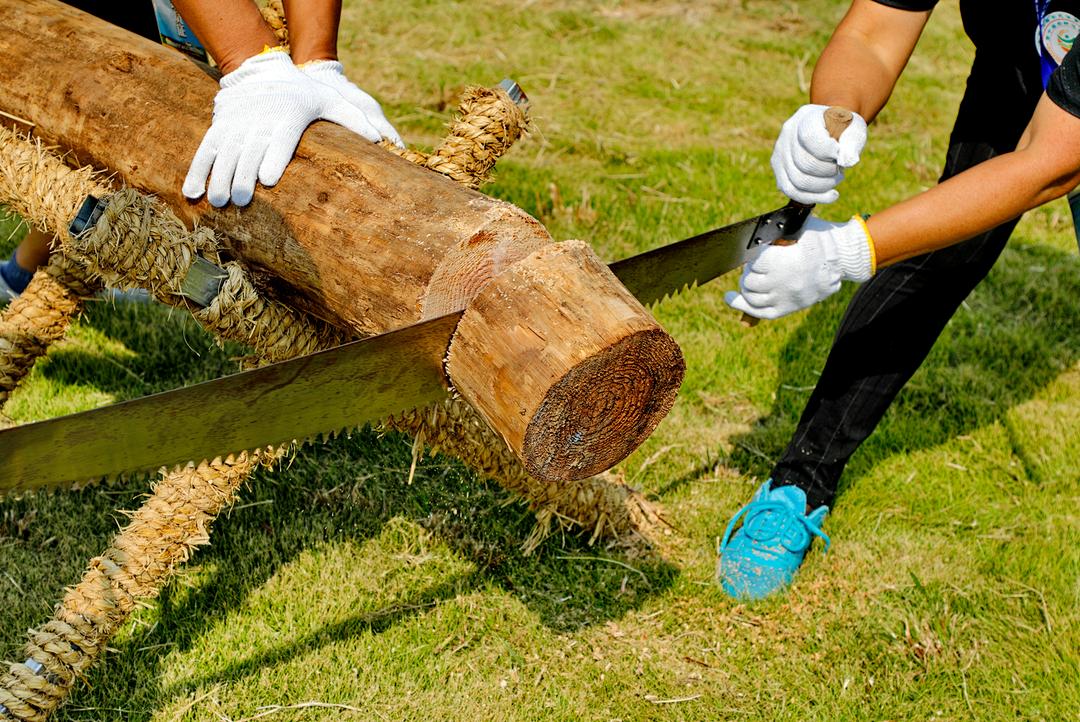 同心锯木,捞泥鳅.这场"农"味运动会真"闹猛"
