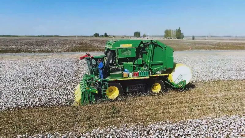 沙湾市17662万亩棉花丰产丰收