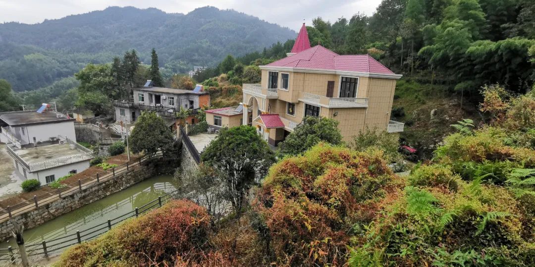 美丽庭院创建晒晒岳西县中关镇美丽庭院