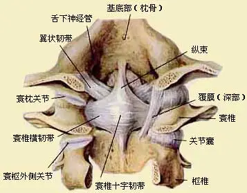 女青年長期不明原因頭暈只因打噴嚏頸椎錯位這病許多人有