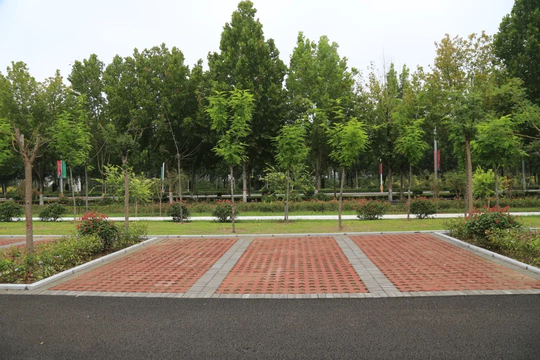 惠民实事跟抢车位说拜拜磁县新增近千个车位