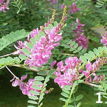 荀子跟牛仔裤有什么关系