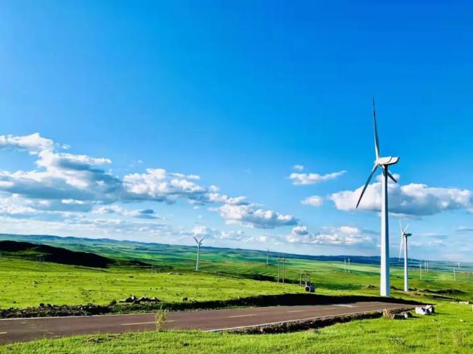 河北省和张家口市大力支持中药材产业发展,康保县致力培育康保道地中