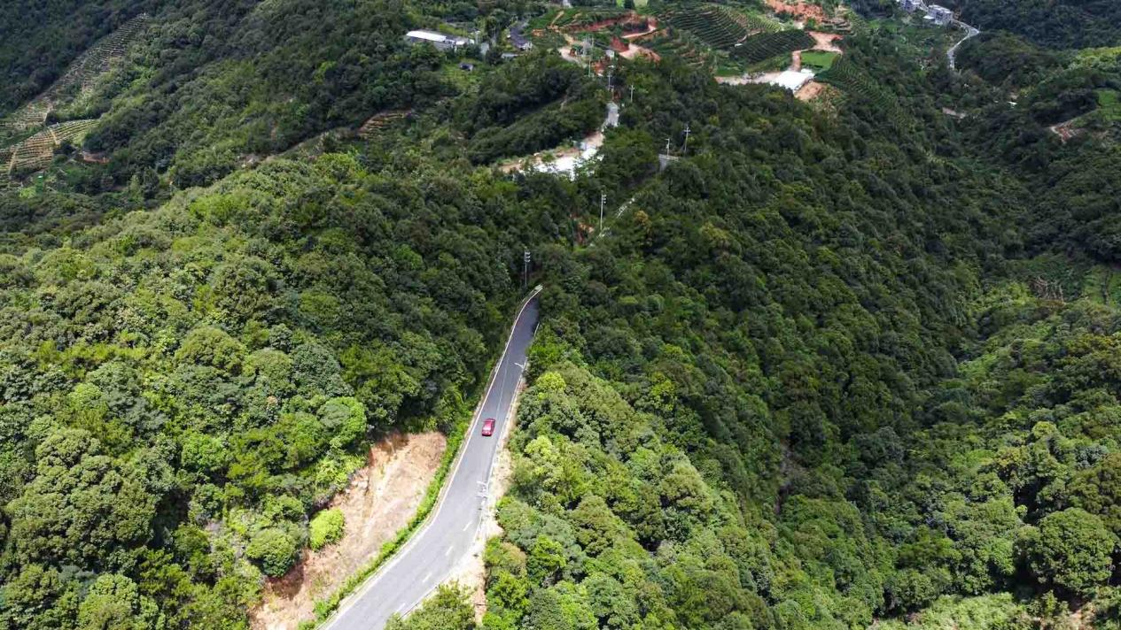 叫水坑村"四好农村路"