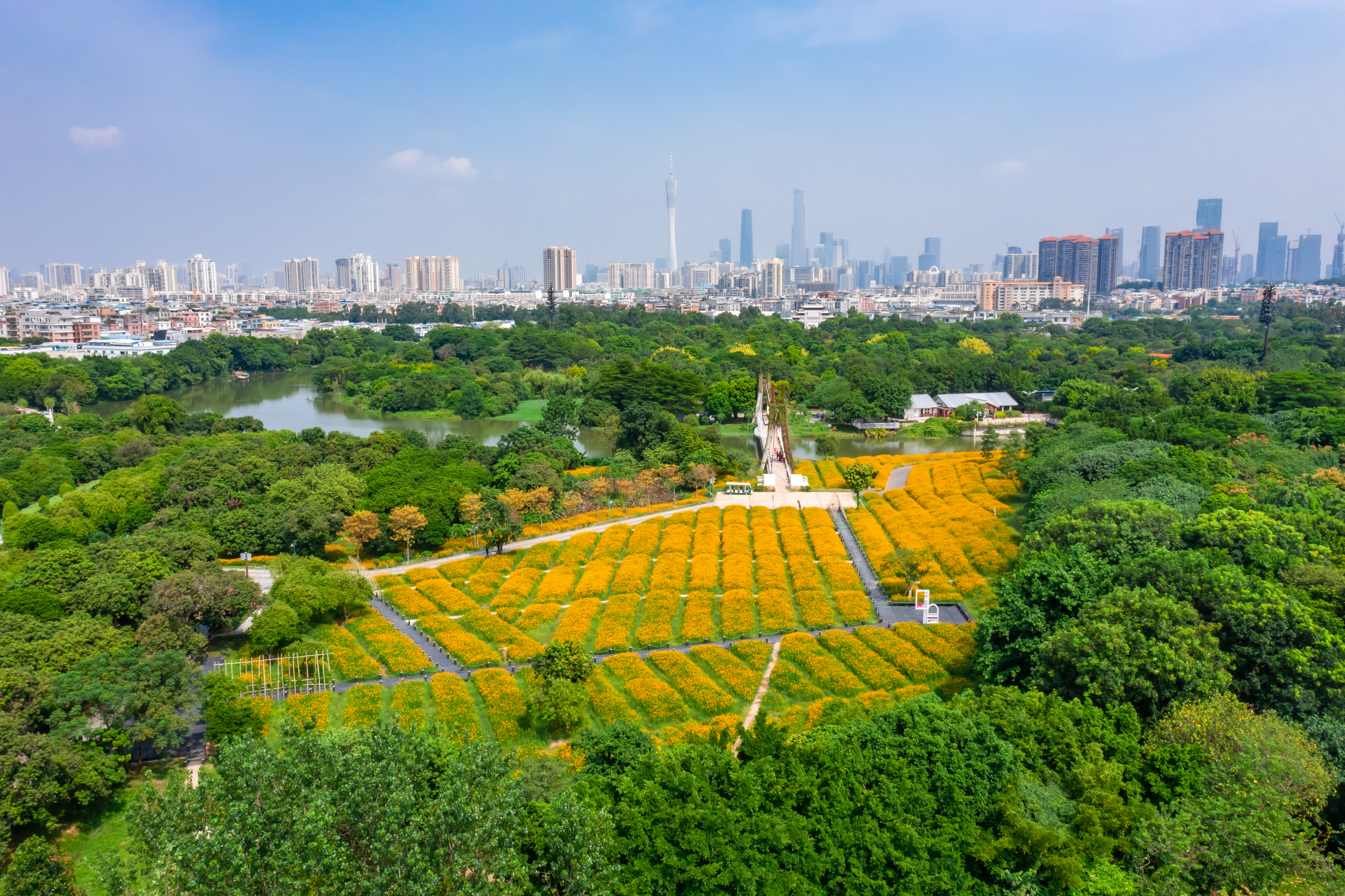 廣州市海珠區第十三次黨代會召開