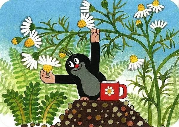 鼹鼠和各种工业产品的集数里,反思了文明和自然的调和;而鼹鼠的梦