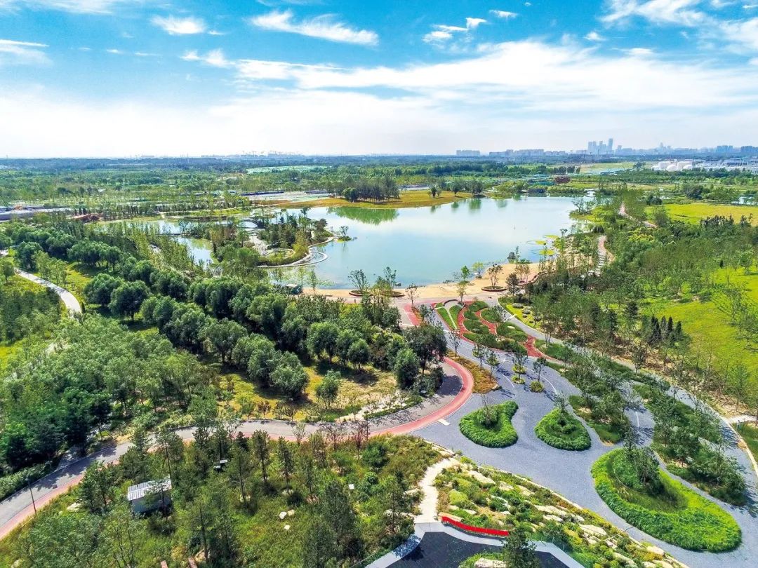 北京朝阳创森促进绿色惠民