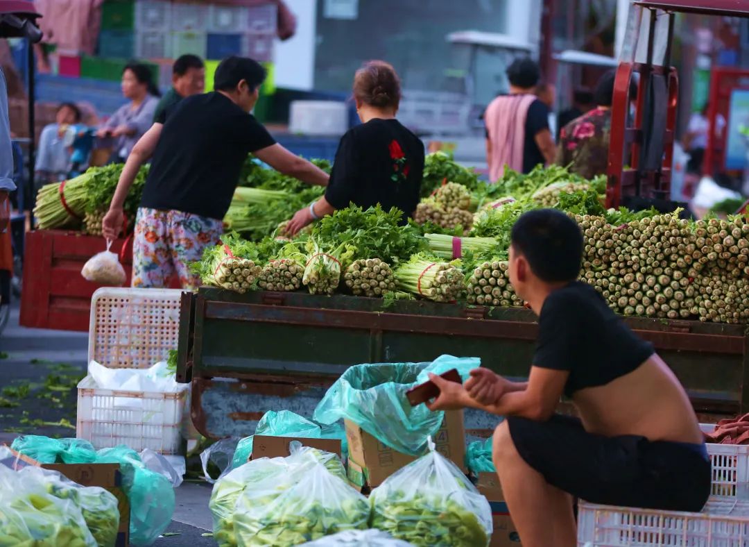 实拍南阳枣林菜市街我们看到了这样一幕