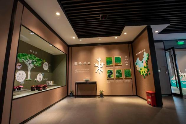 太湖雪蚕桑文化产业园拥有2000亩现代化优质桑园,4000平方米蚕桑文化