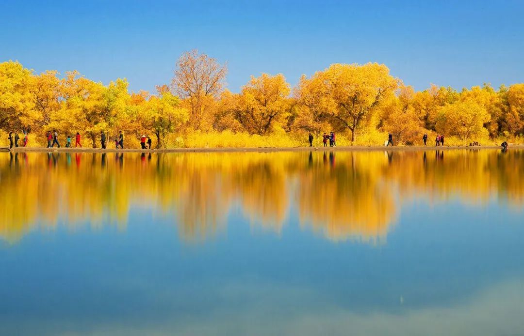 环西部火车游 | 乘坐"金秋胡杨林号"旅游专列开启惬意之旅