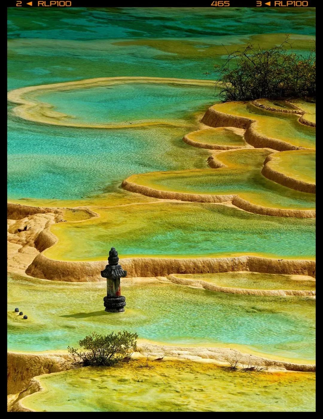 欢度国庆|来颜值巅峰期的黄龙,满载秋色而归