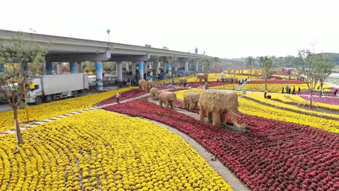 太原稻草公园图片