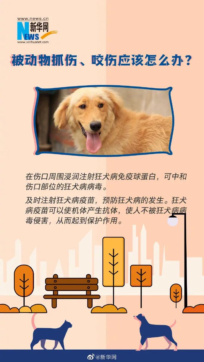 世界狂犬病日掌握正确姿势科学预防狂犬病