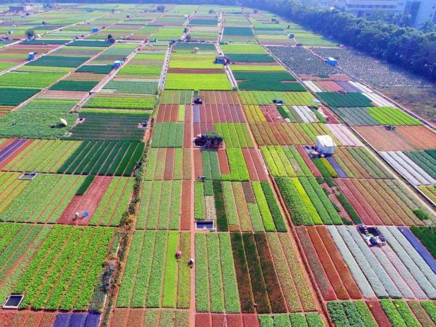 被震撼了一起看看祖国的田地