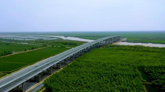 国庆必备旅游宝典之"游在射阳"