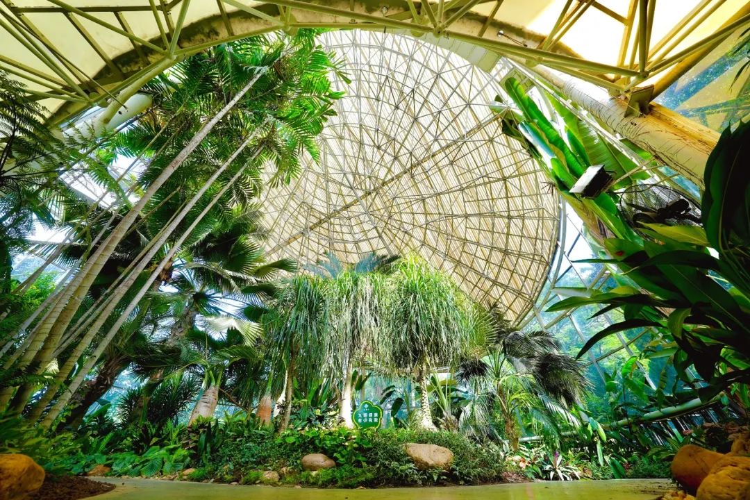 国庆来别样花境云台花园玻璃温室完成升级改造