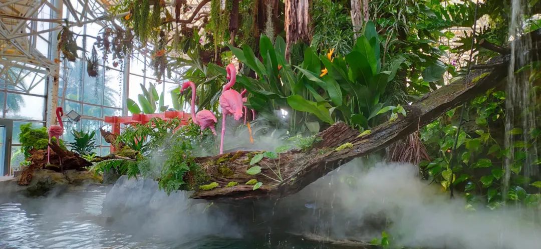 国庆来别样花境云台花园玻璃温室完成升级改造