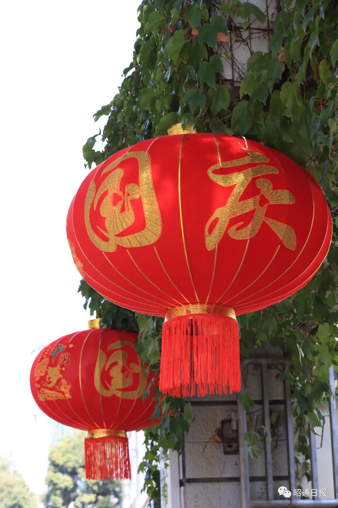 中国红昭通范唱我和我的祖国祝福祖国繁荣昌盛