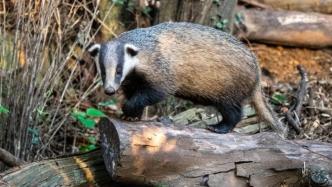 好展區(qū)會(huì)讓游客也變好