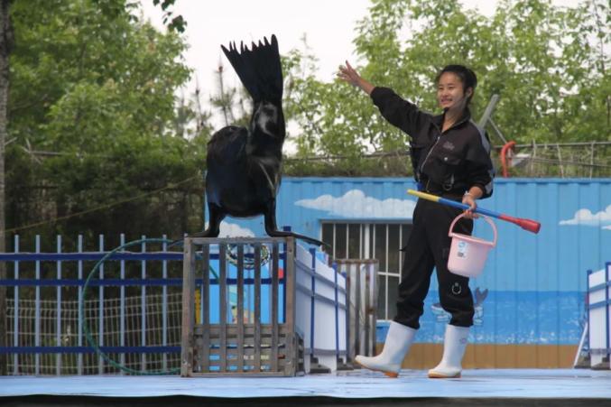 金寶情懷,永遠在@全濰坊人01金寶動物園02金寶遊樂園03金寶植物園04