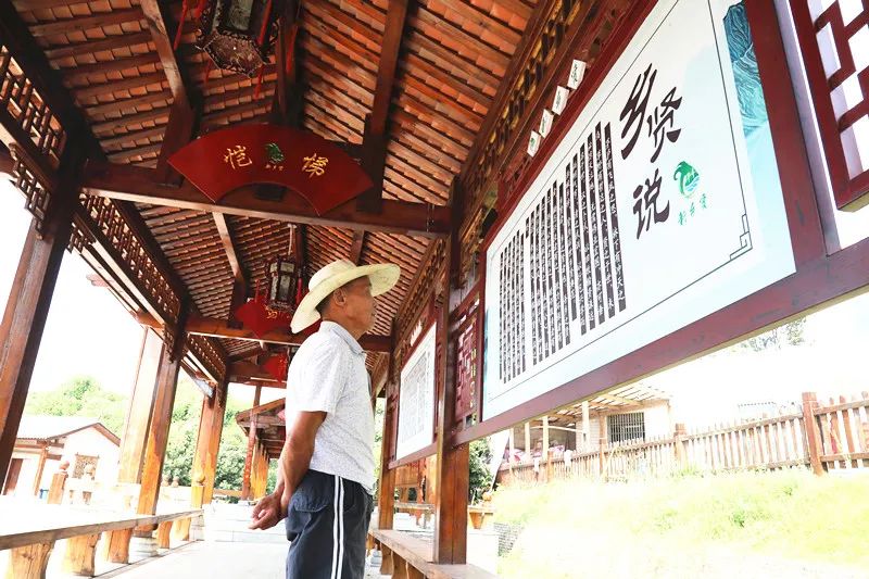 走,去茶亭!_澎湃号·政务_澎湃新闻The Paper