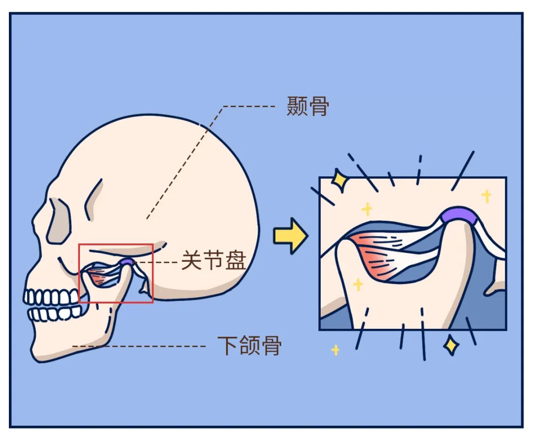 下颌拼音图片