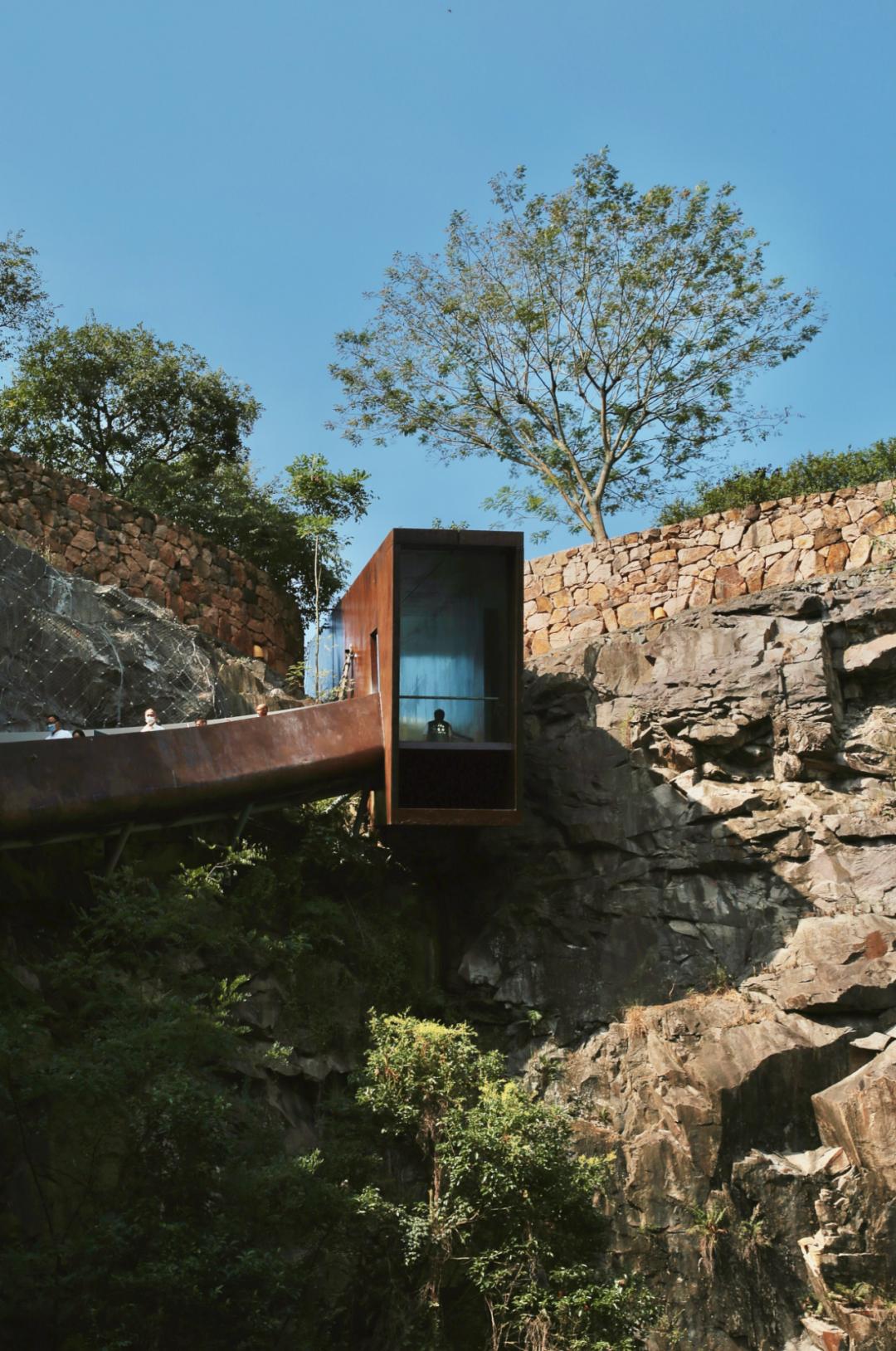 辰山植物园矿坑花园重新开放假期来打卡吧