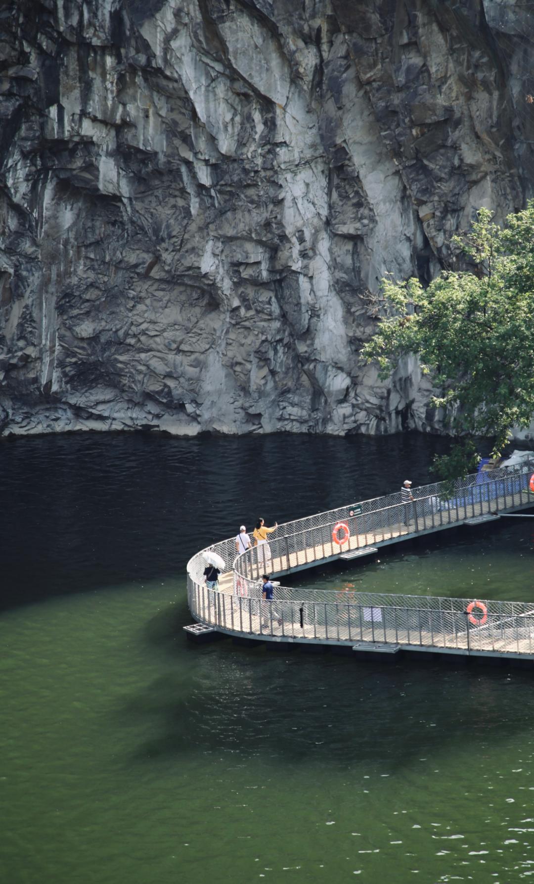 辰山植物园矿坑花园重新开放假期来打卡吧