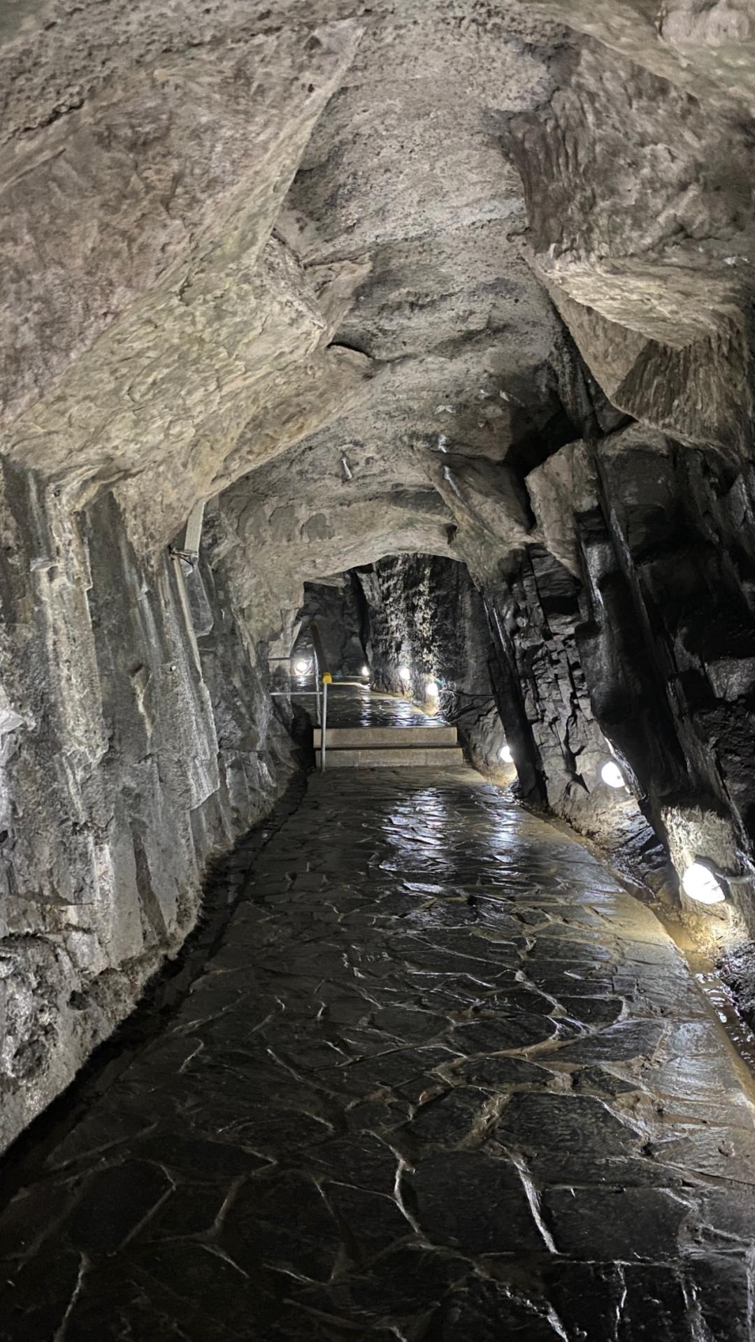 辰山植物园矿坑花园重新开放假期来打卡吧