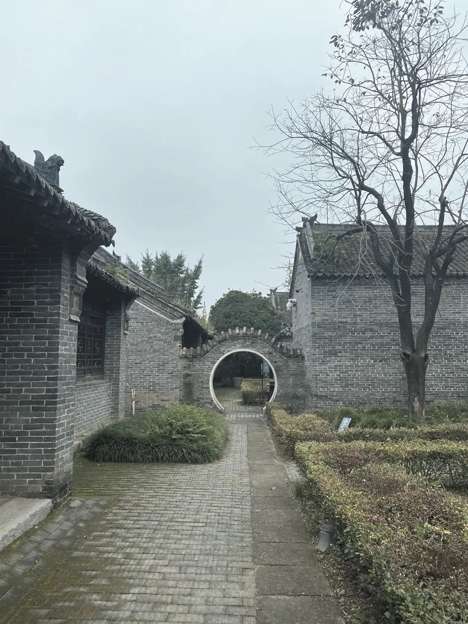 记者游记：马谷田周边揽风光