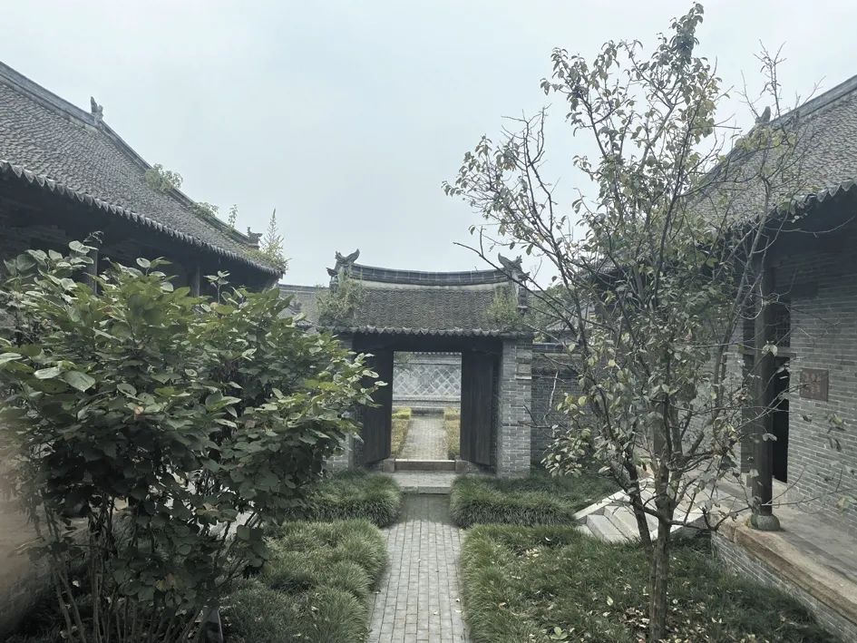 记者游记:马谷田周边揽风光
