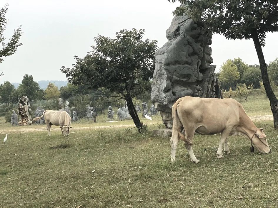 记者游记:马谷田周边揽风光